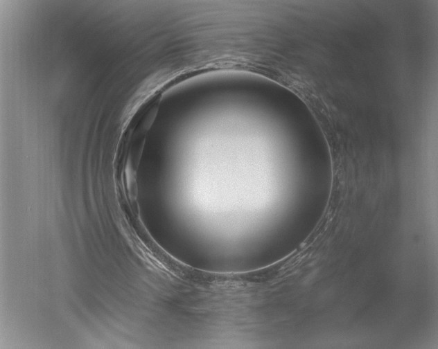 X0000052630242200507081947