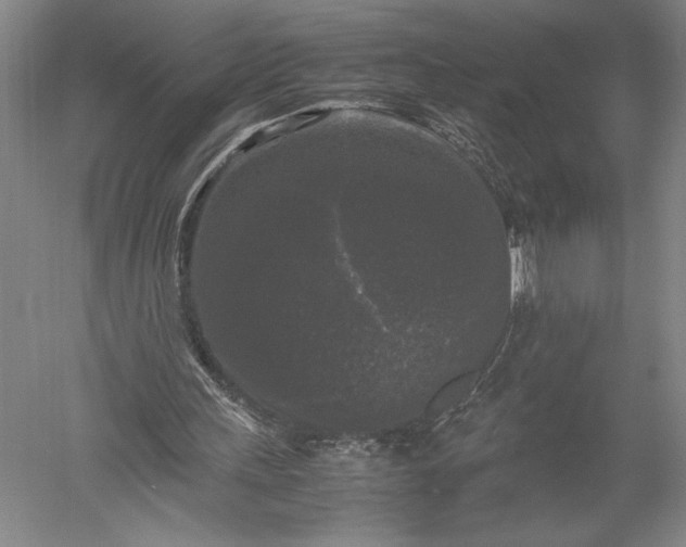 X0000052630243200507081947