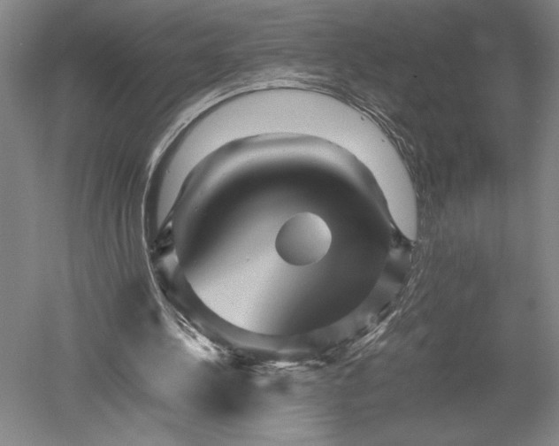 X0000052630244200507081947