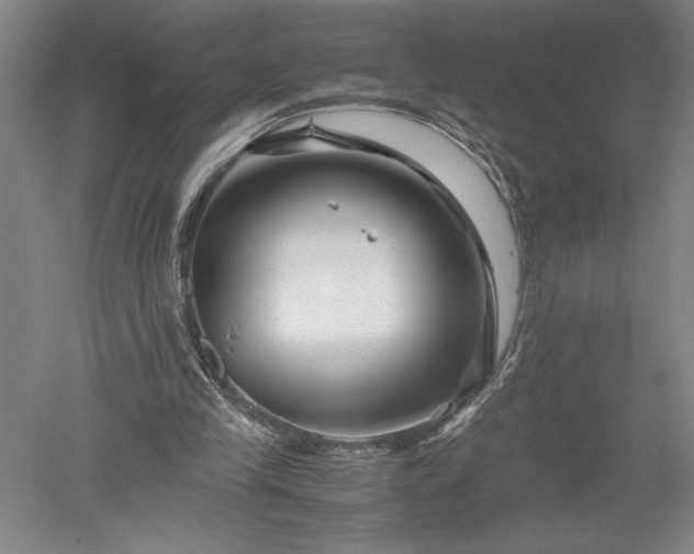 X0000052630245200507081947