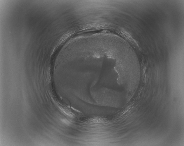 X0000052630250200507081947