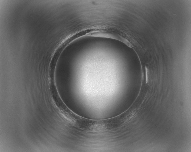 X0000052630252200507081947