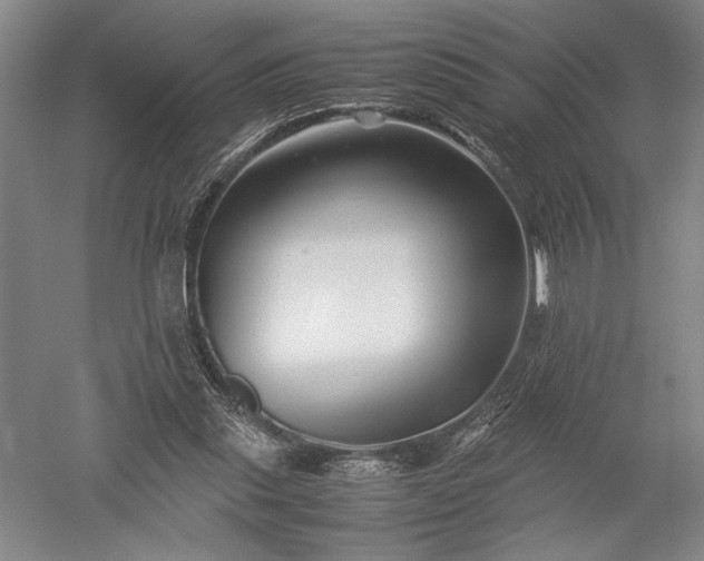 X0000052630253200507081947