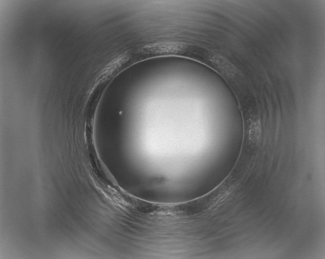 X0000052630254200507081947