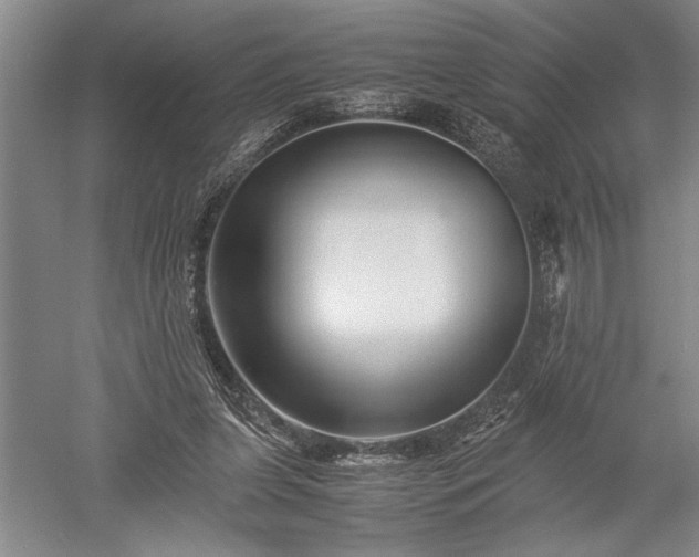 X0000052630255200507081947