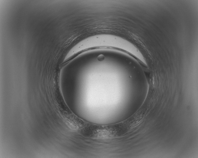 X0000052630259200507081947