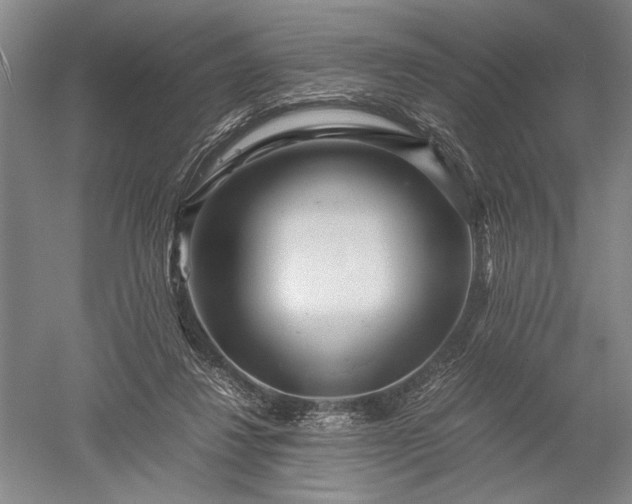 X0000052630260200507081947