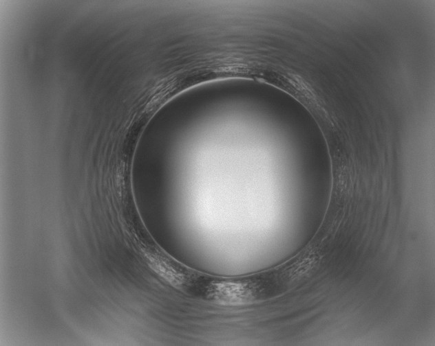 X0000052630265200507081947