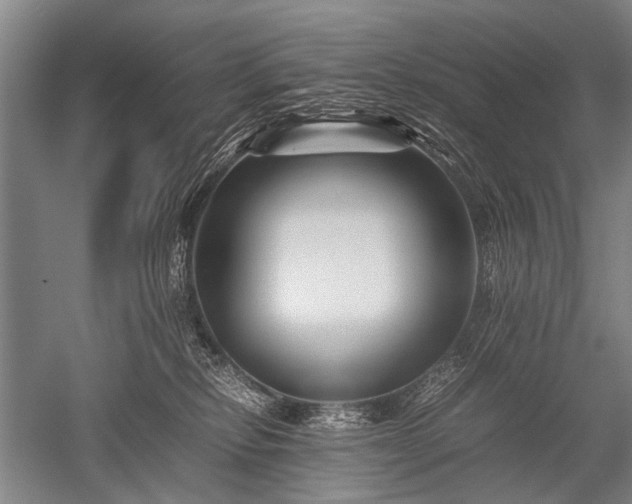 X0000052630278200507081947