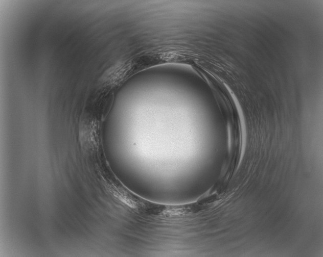 X0000052630280200507081947