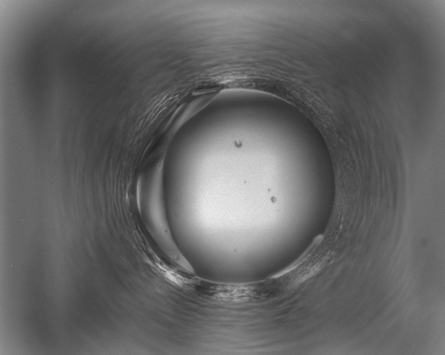 X0000052630288200507081947