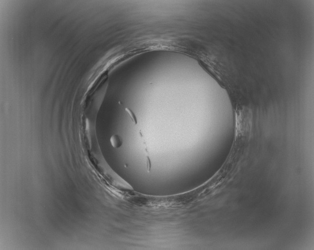 X0000052630291200507081946
