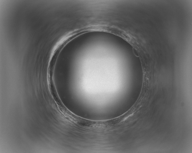 X0000052630294200507081946