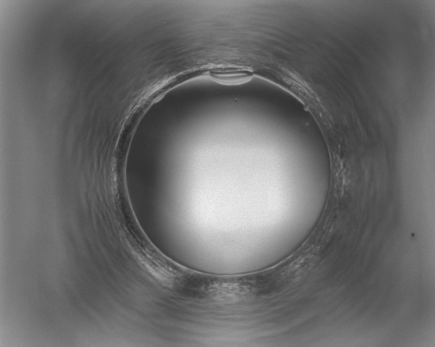 X0000052630298200507081946