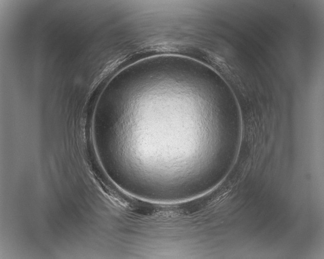 X0000052630299200507081946