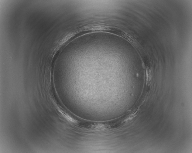 X0000052630301200507081946