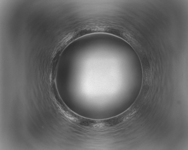 X0000052630309200507081946