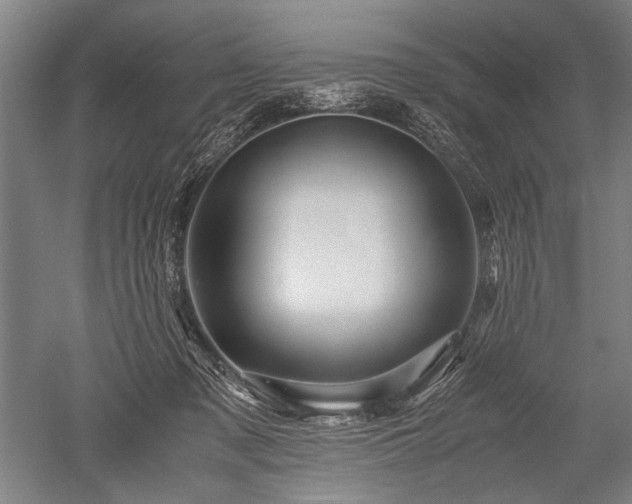 X0000052630317200507081946