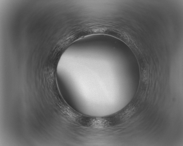 X0000052630321200507081946