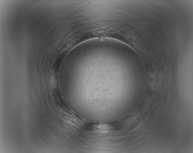 X0000052630324200507081946