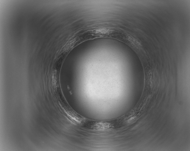 X0000052630328200507081946