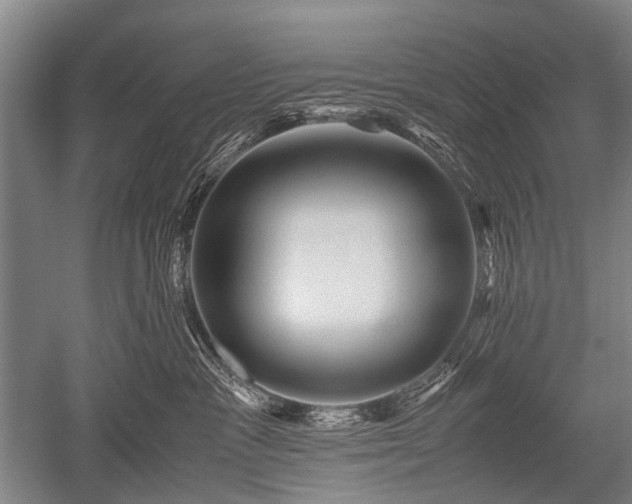 X0000052630333200507081946