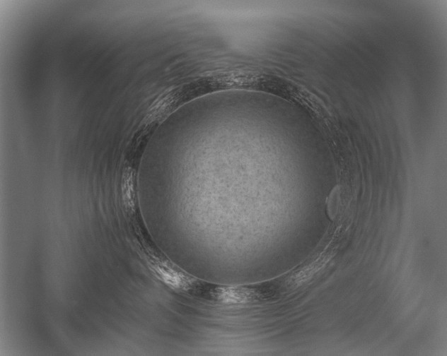 X0000052630336200507081946