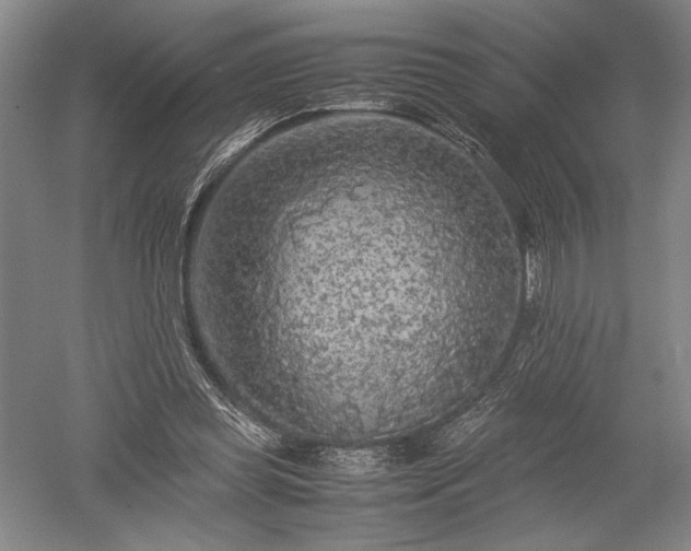 X0000052630349200507081945