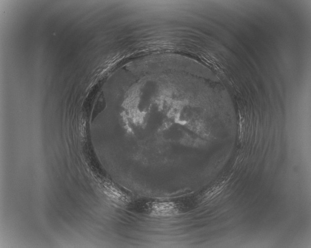 X0000052630355200507081945