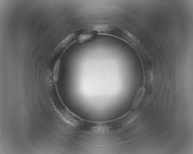 X0000052630356200507081945