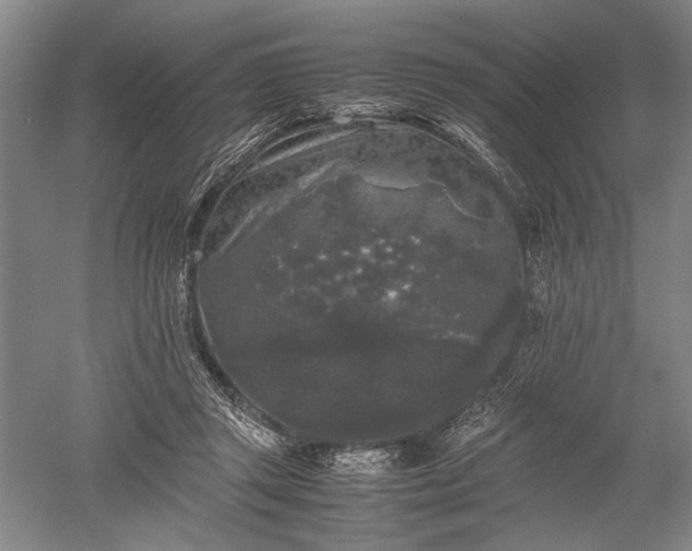 X0000052630357200507081945