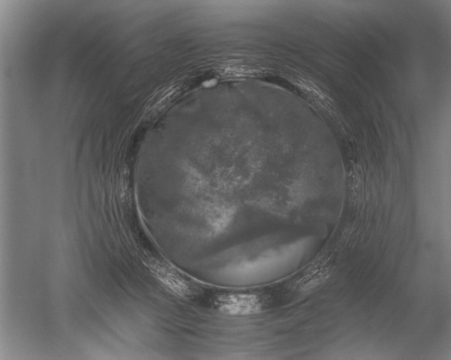 X0000052630361200507081945