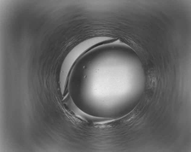 X0000052630379200507081946
