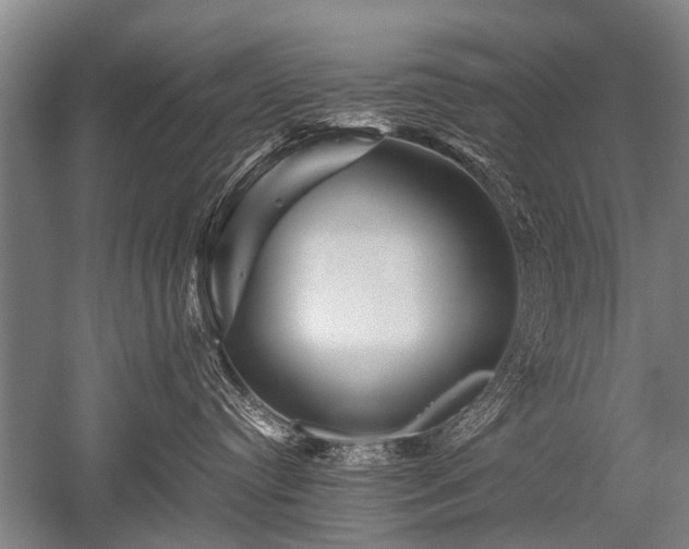 X0000052630384200507081946