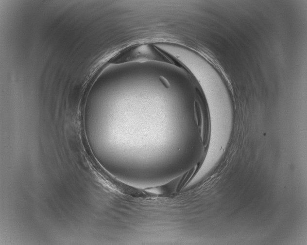 X0000052630389200507081945