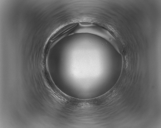 X0000052630392200507081945