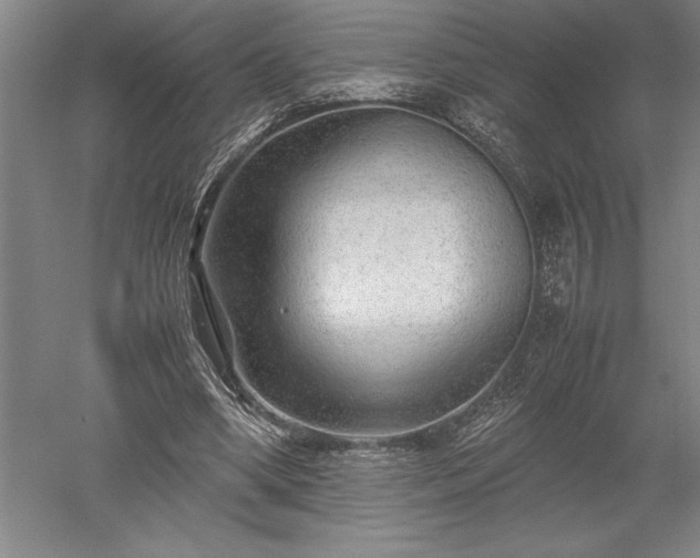 X0000052630394200507081945