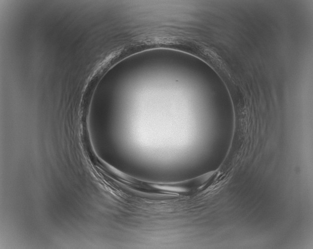 X0000052630395200507081945