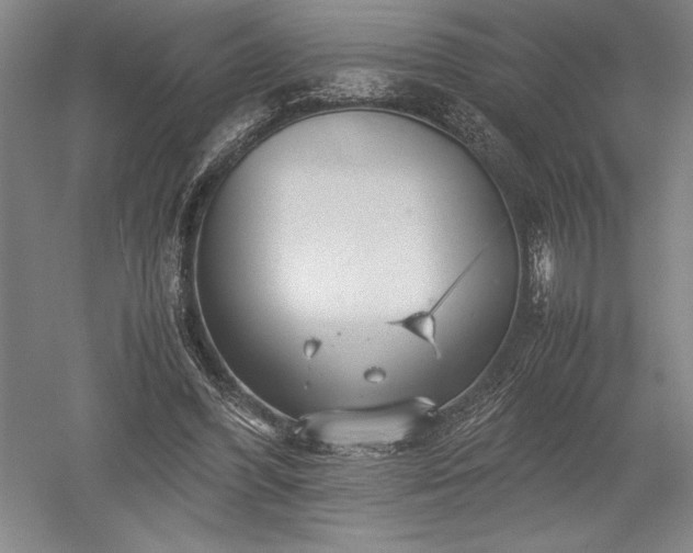 X0000052630396200507081945