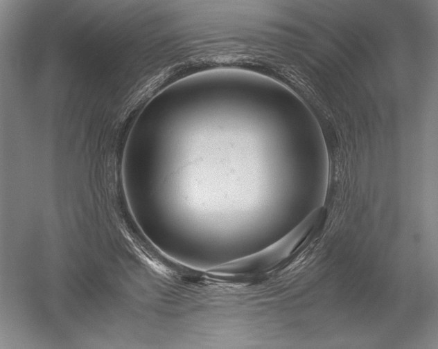 X0000052630397200507081945