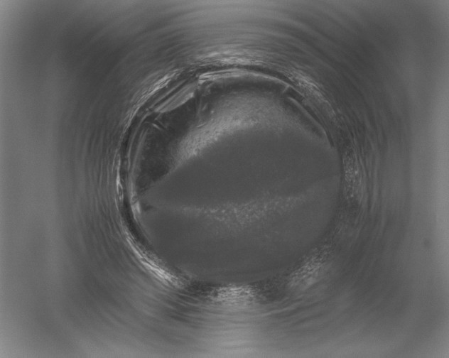 X0000052630398200507081945