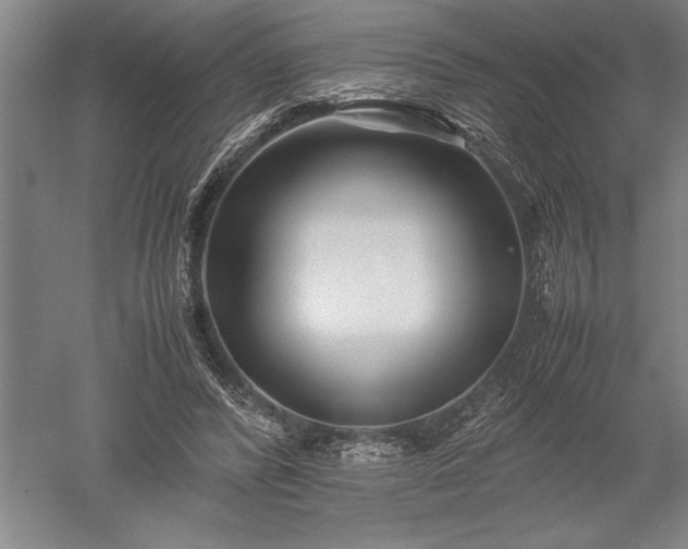 X0000052630400200507081945