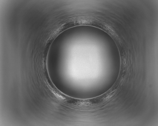 X0000052630401200507081945