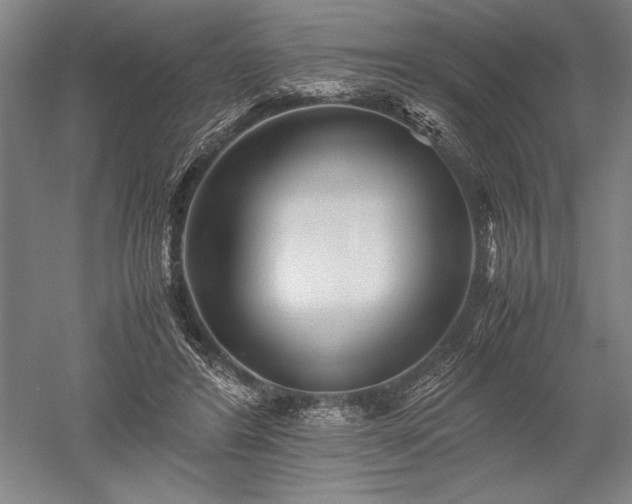 X0000052630404200507081945