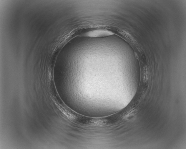 X0000052630405200507081945