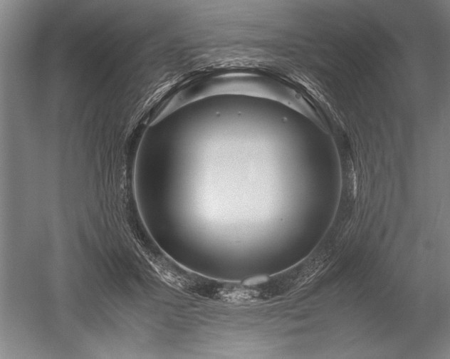 X0000052630407200507081945