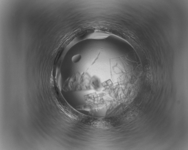 X0000052630408200507081944