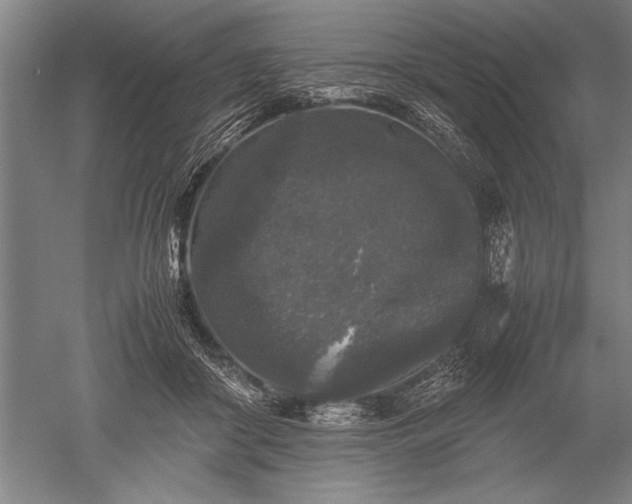 X0000052630410200507081944