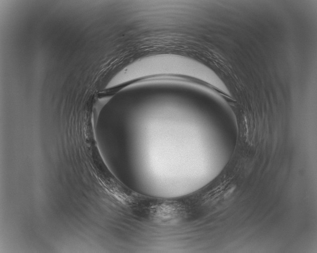 X0000052630412200507081944