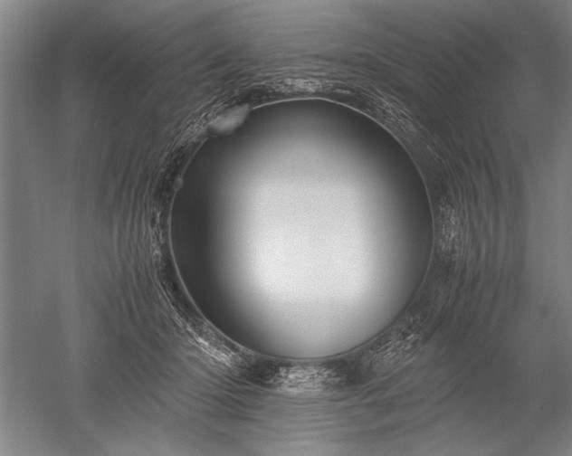 X0000052630414200507081944
